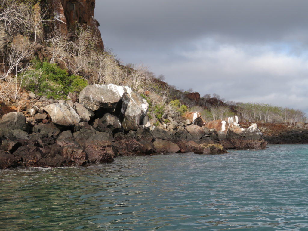 Pristine Coast of Santa Cruz