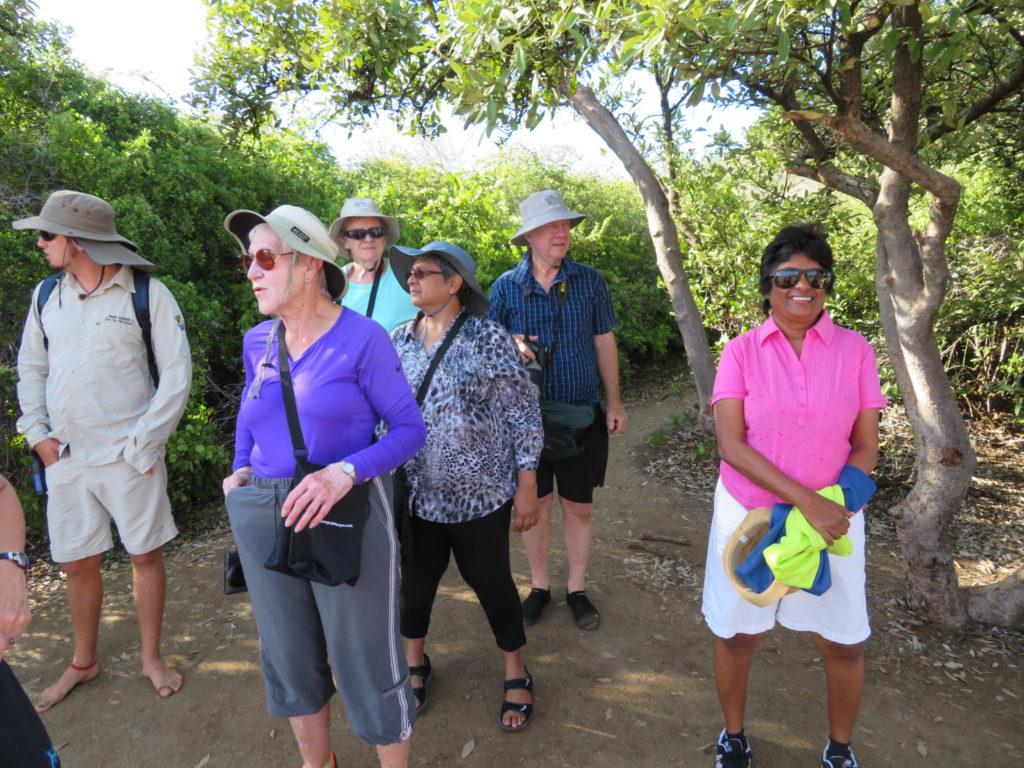 Excursion at Cormorant Point