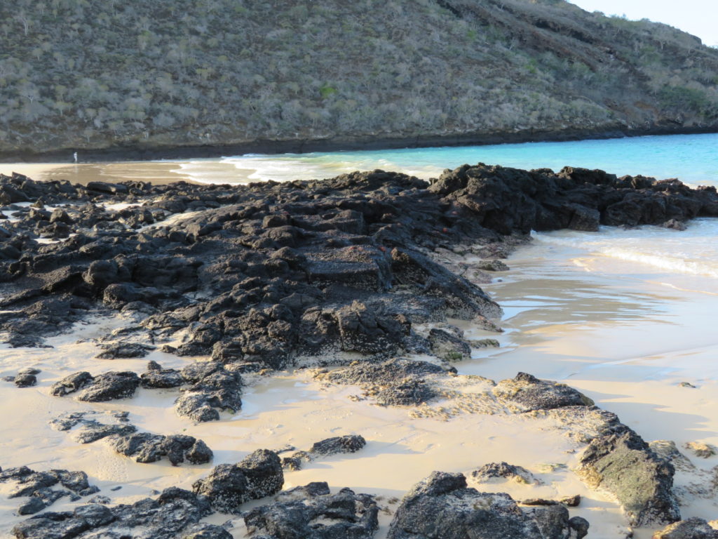 Magnificent Beach Off Suarez Point Galapagos