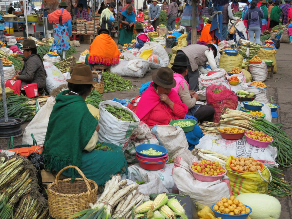 Indigenous Market Ecuador