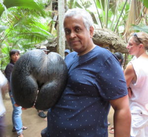 The Female Fruit of the Coco de Mer Fruit