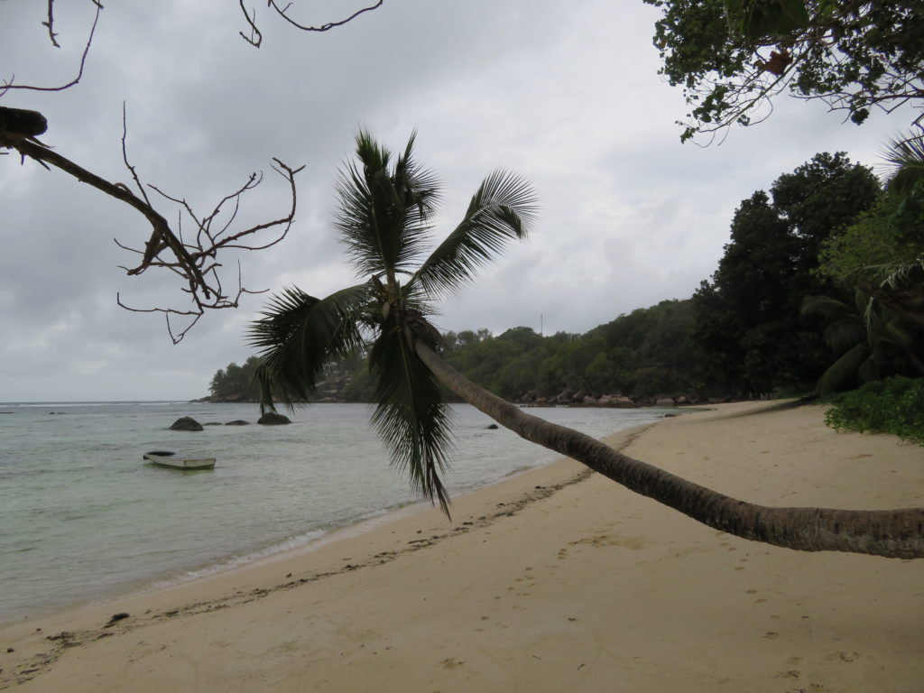 Awesome Beach at Mahe