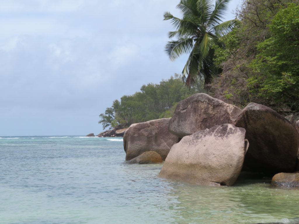 Beautiful Mahe Island Sea Shore