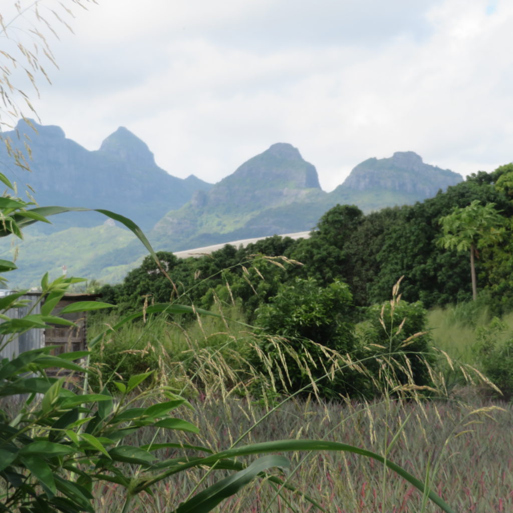 Awesome Scenery in Northern Mauritius