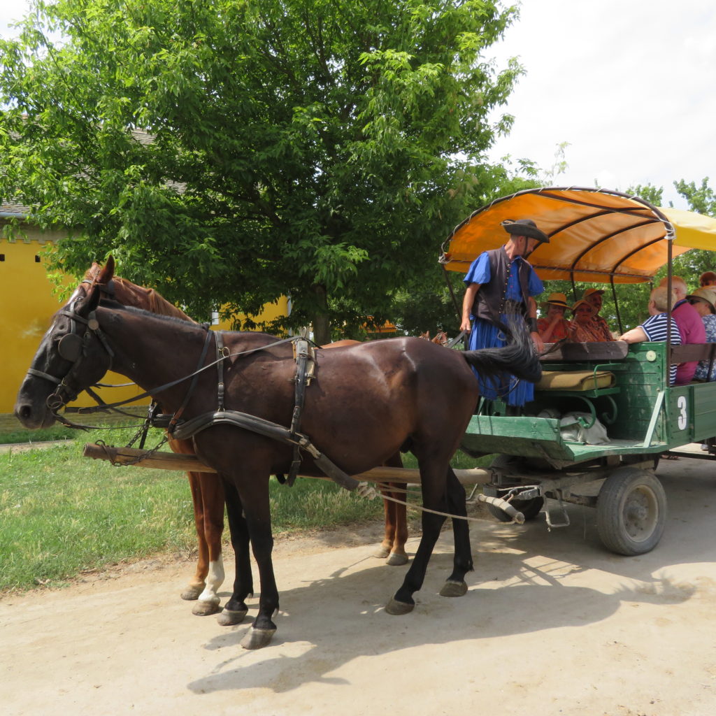Enjoying Horse Carriage Ride at Horse Show in Puszta Hungary
