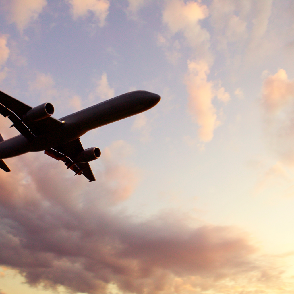 View of Plane Flying