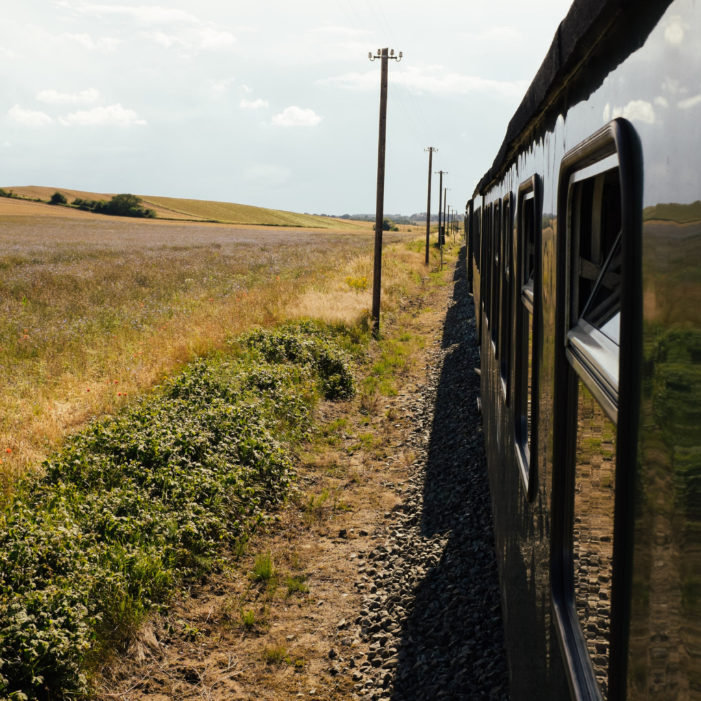 Enjoying Train Ride on Trip