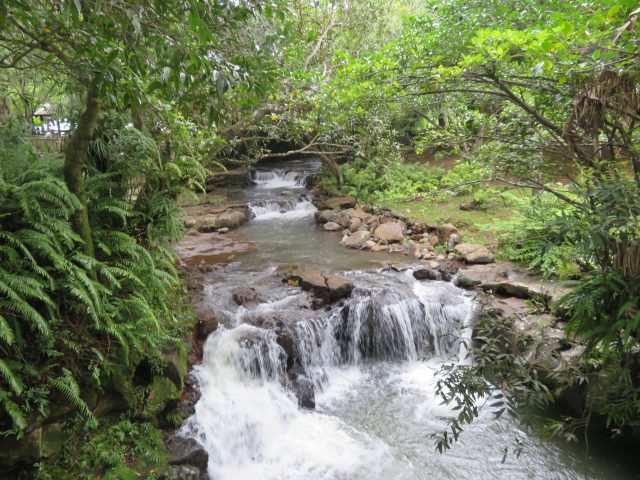 Beautiful Stream at 23 Colored Earth