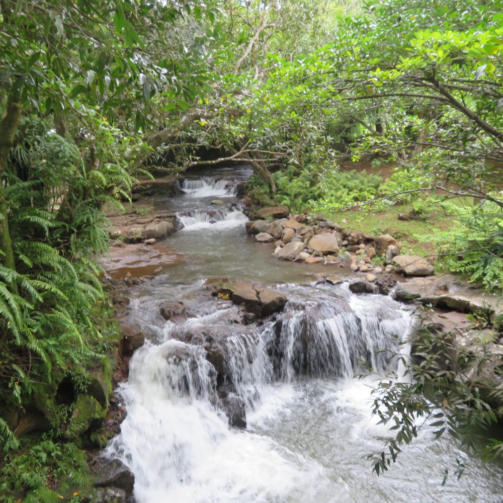 Beautiful Stream at 23 Colored Earth