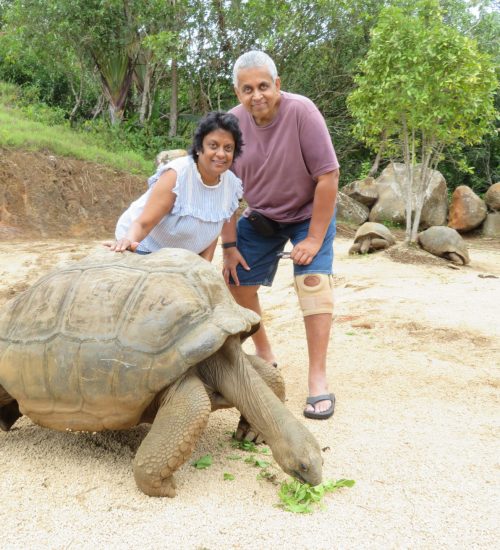 Posing With a Giant Tortoise at the 23 Colored Earth Mauritius