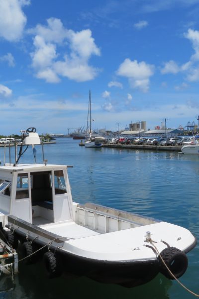 Busy Pier at Port Louis