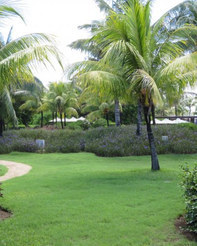 The Lush Garden at Long Beach Hotel