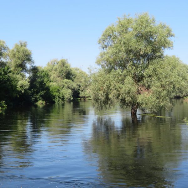 Sailing Through Beautiful Danube Delta Romania