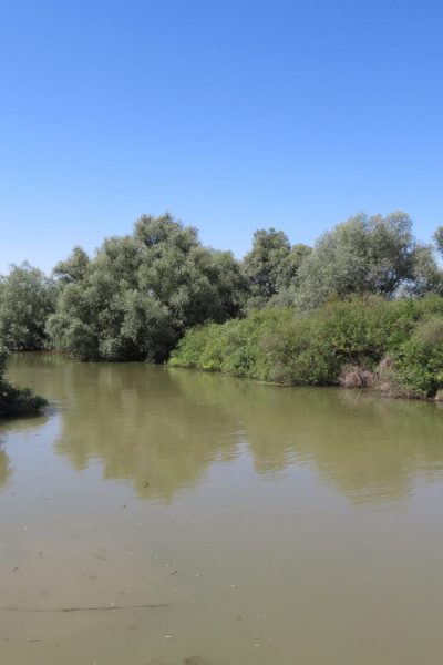 The Beautiful Danube Delta Romania