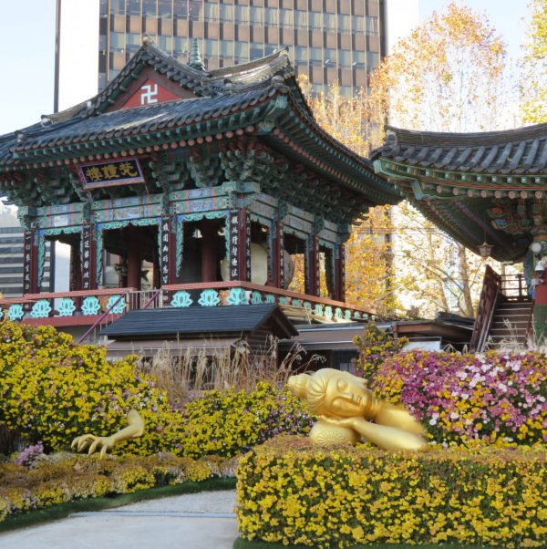 The Impressive Jogyesa Temple Seoul