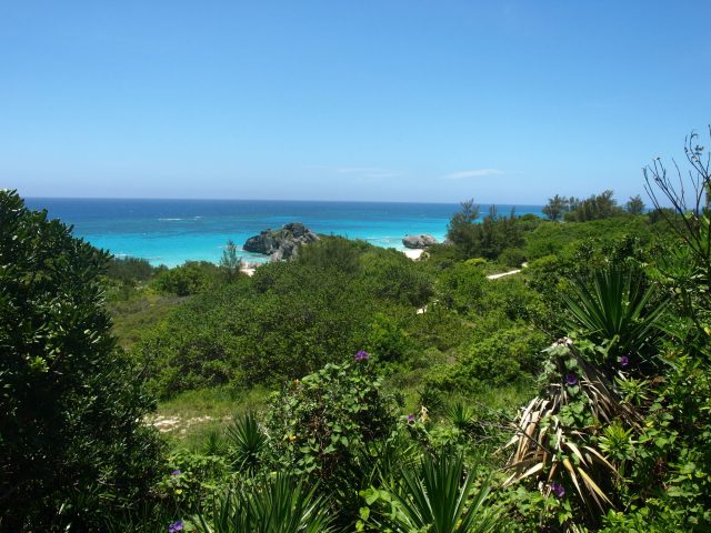 View of Sea From North Shore Road