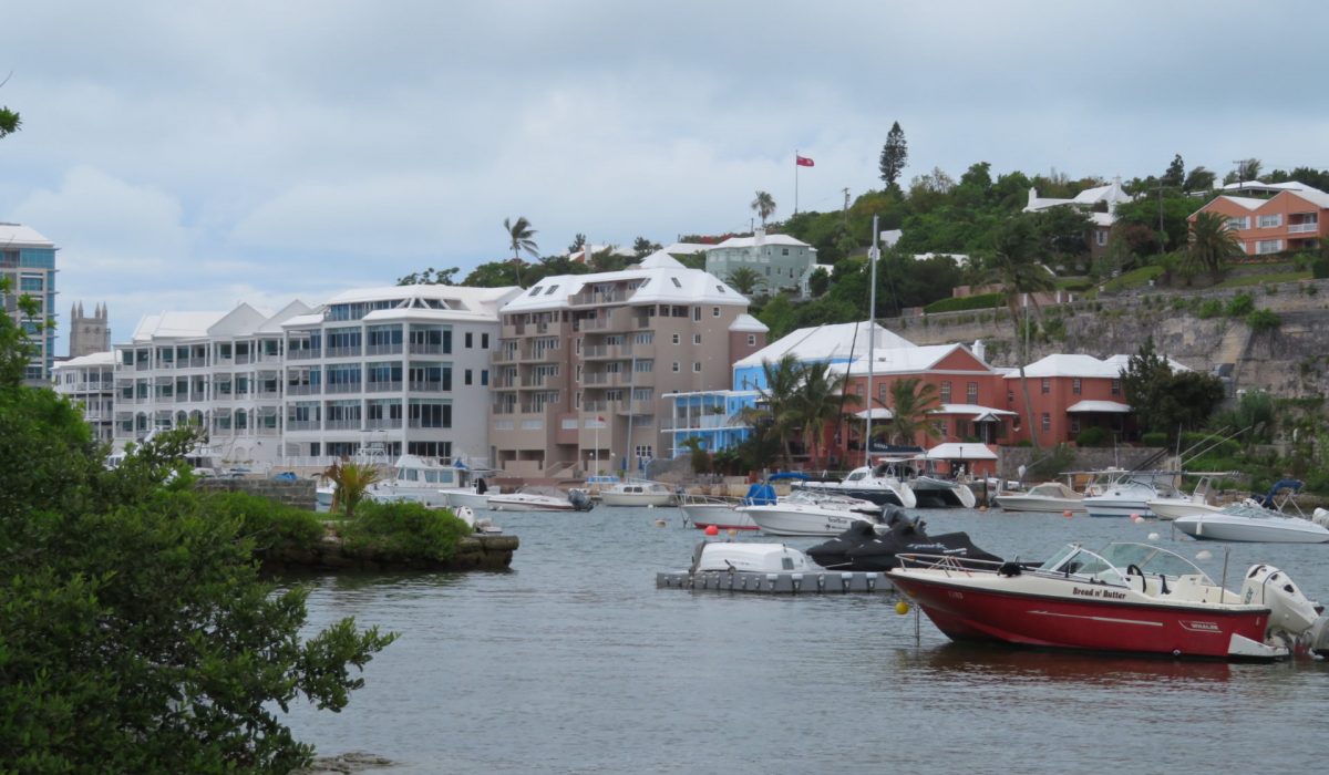 Hamilton City From The Water